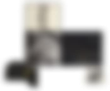 Man With Handlebar Mustache/Two Branches (with black intrusion) (preview)