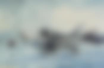 Herring Fishing (preview)