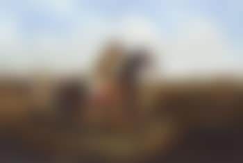 The Check--Keep Your Distance (preview)