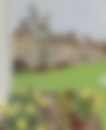 Daffodils and Pear Tree (preview)