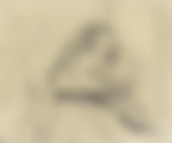 Portrait of Elizabeth Grant (preview)
