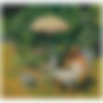 Woman In The Garden (preview)