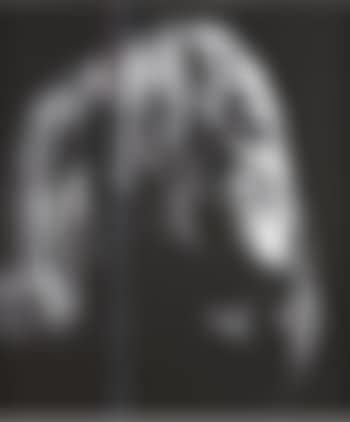 Grosser Schwarzer Vogel (preview)