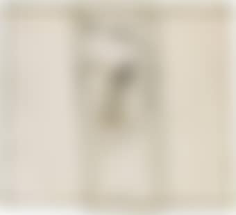 Face Columnized (preview)