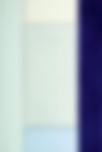 Portrait (preview)