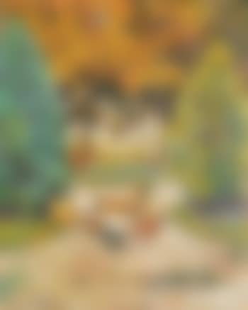 Paysage anime (preview)