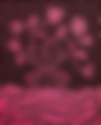 Flowers (preview)