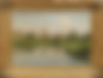 Vue de Rigny-sur-Saône (preview)