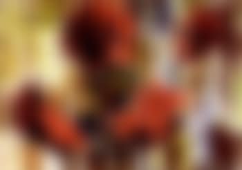 Blumenstillleben (preview)
