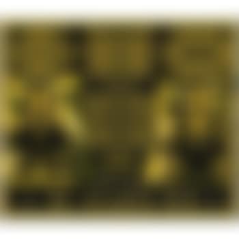 Ginkgoed (preview)