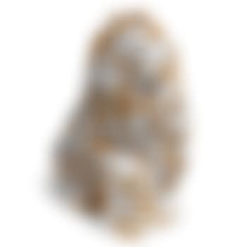 Doglove (preview)