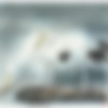 Two Egrets (preview)