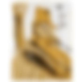 Dr. Wuff Wuff (Der Anspuchslose) (preview)