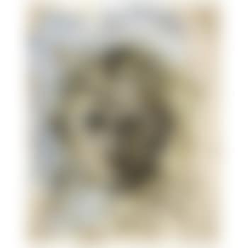 Autoportrait Au Clin D'oeil (preview)
