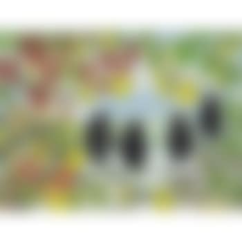Four Birds (preview)