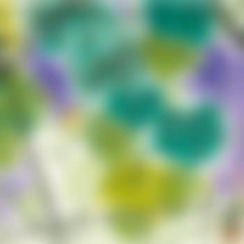 Grapevines (preview)