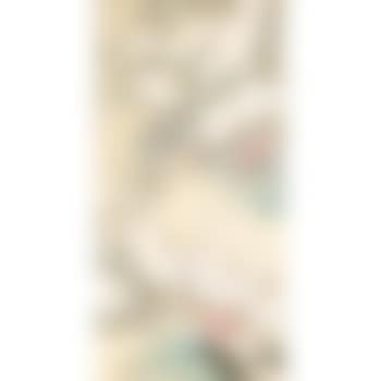 Two Pekineses (preview)