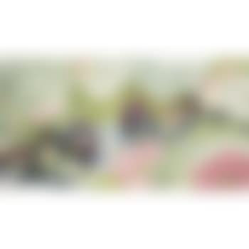 Lotus And Mandarin Ducks (preview)