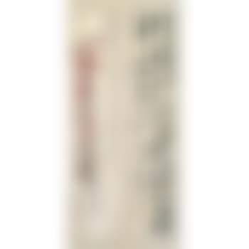 Plum Blossoms; Calligraphy (preview)