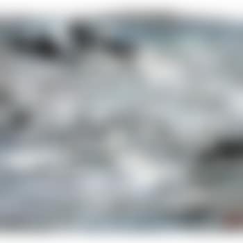 Sea Waves (preview)
