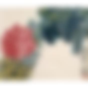 Chrysanthemum (preview)
