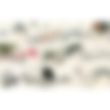 Various Subjects (preview)