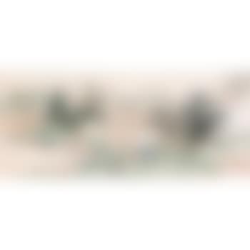 The Pu Garden (preview)
