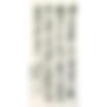 Poetry In Xingshu (preview)