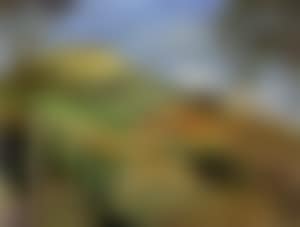Landscape (preview)