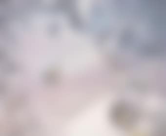Pigeons (preview)