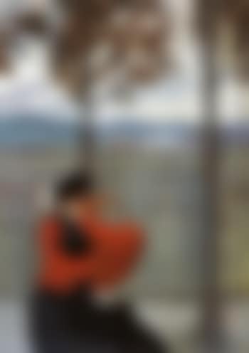 Le coup de vent (preview)