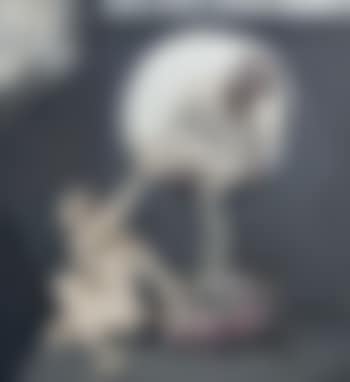 Le Mépris I (preview)