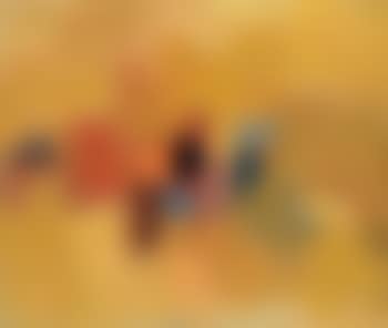 No 13 (preview)