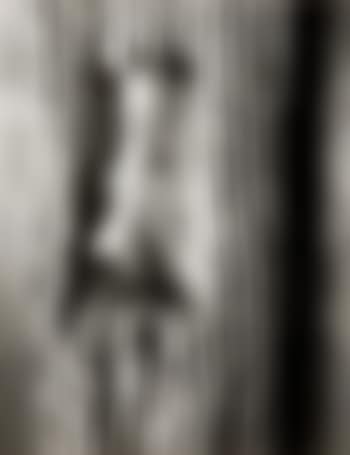 Untitled (Face in the tree) (preview)