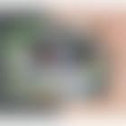 Main tenant des fraises (preview)