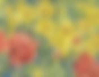 Dahlias (preview)