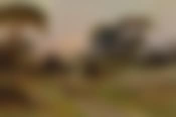 Shepherd and dog with sheep on a country lane at dusk (preview)