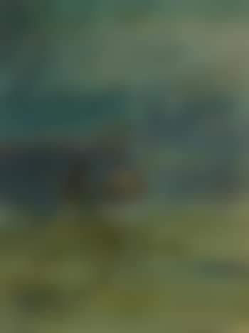 Horses at a corral (preview)