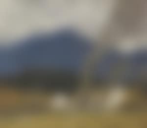 Farm in County Down (preview)
