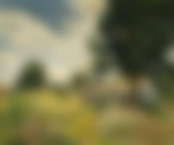 House and figures in a Dominican Republic landscape (preview)