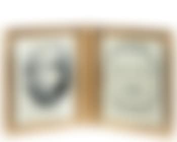 Personnages (preview)