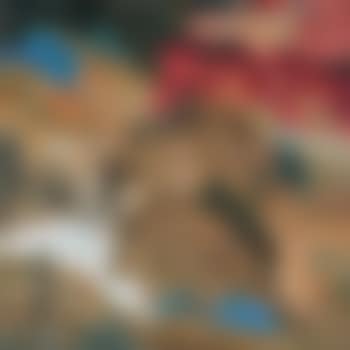 Untitled (preview)