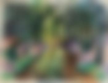 Waldbach (preview)