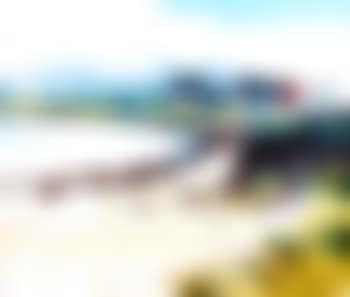 Coney Island (preview)