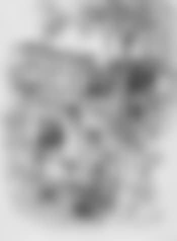 Stolpen (preview)