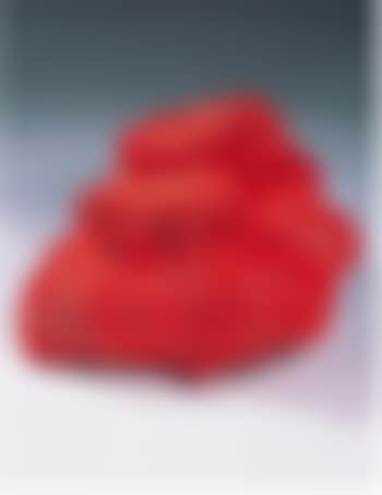 Cloony (orsi) (preview)