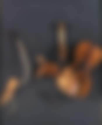 Sarasate's gypsy hair (preview)