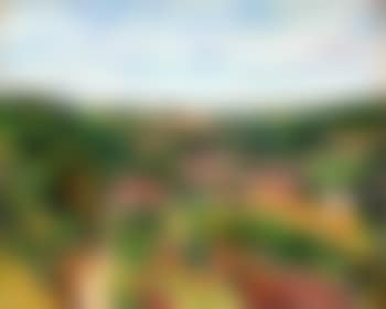Paysage de l'Yonne (preview)