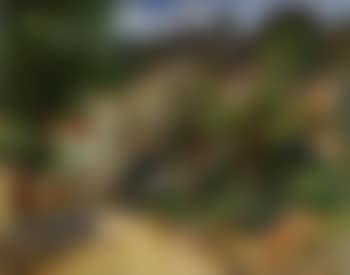 Provence (preview)