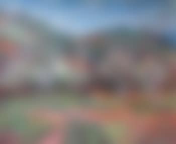 Paysage vallonné (preview)